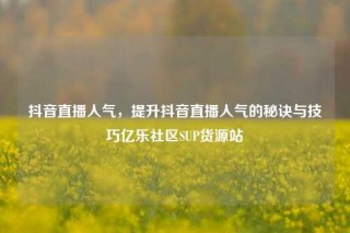 抖音直播人气，提升抖音直播人气的秘诀与技巧亿乐社区SUP货源站