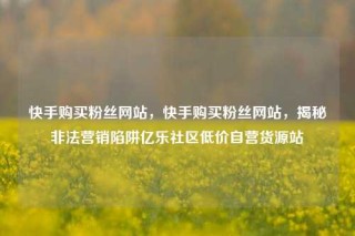 快手购买粉丝网站，快手购买粉丝网站，揭秘非法营销陷阱亿乐社区低价自营货源站