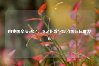 由我国牵头制定，适老化数字经济国际标准发布