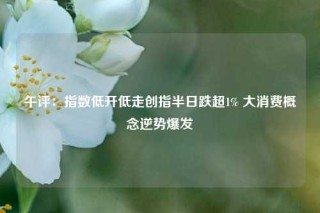 午评：指数低开低走创指半日跌超1% 大消费概念逆势爆发