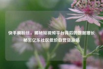 快手刷粉丝，揭秘短视频平台背后的数据增长秘密亿乐社区低价自营货源站