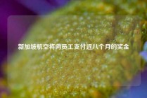 新加坡航空将向员工支付近八个月的奖金