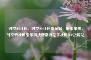 时空云社区，时空云社区货源站，探索未来，时空云社区引领科技新潮流亿乐社区SUP货源站