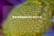 董军同德国国防部长举行会谈