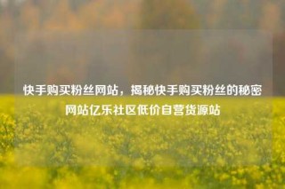 快手购买粉丝网站，揭秘快手购买粉丝的秘密网站亿乐社区低价自营货源站