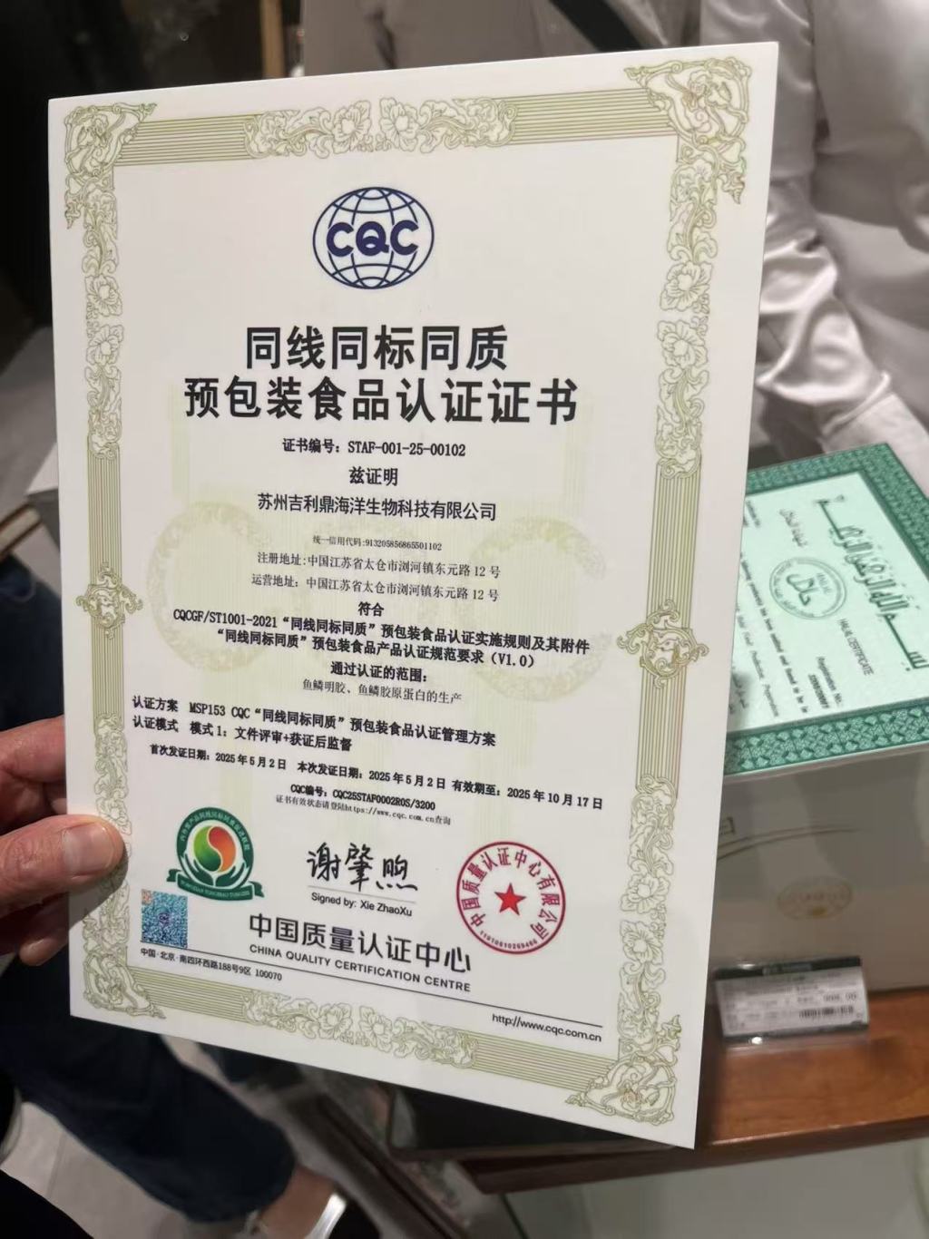 韧性十足的中国外贸企业:“不倒翁”被摁下去,还会再弹起来 第6张 韧性十足的中国外贸企业:“不倒翁”被摁下去,还会再弹起来 第6张