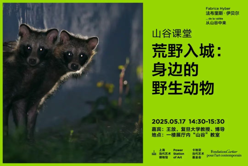 “走进书适圈”:一周城市生活 第19张 “走进书适圈”:一周城市生活 第19张