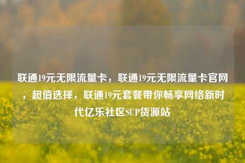 联通19元无限流量卡，联通19元无限流量卡官网	，超值选择，联通19元套餐带你畅享网络新时代亿乐社区SUP货源站  第1张