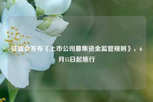证监会发布《上市公司募集资金监管规则》，6月15日起施行  第1张