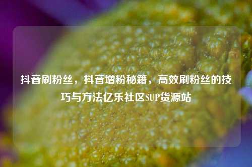 抖音刷粉丝	，抖音增粉秘籍，高效刷粉丝的技巧与方法亿乐社区SUP货源站  第1张