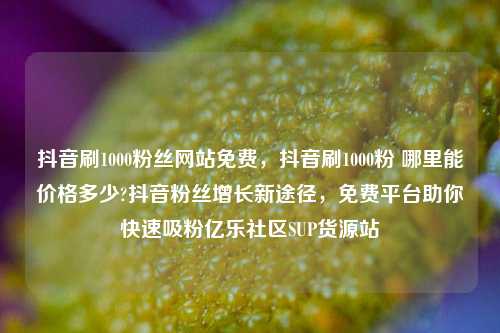 抖音刷1000粉丝网站免费，抖音刷1000粉 哪里能价格多少?抖音粉丝增长新途径，免费平台助你快速吸粉亿乐社区SUP货源站  第1张