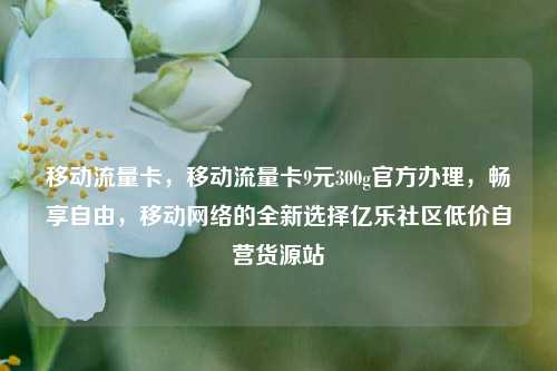 移动流量卡，移动流量卡9元300g官方办理，畅享自由	，移动网络的全新选择亿乐社区低价自营货源站  第1张