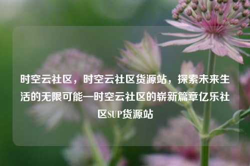 时空云社区，时空云社区货源站，探索未来生活的无限可能—时空云社区的崭新篇章亿乐社区SUP货源站  第1张
