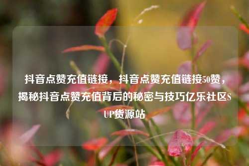 抖音点赞充值链接，抖音点赞充值链接50赞	，揭秘抖音点赞充值背后的秘密与技巧亿乐社区SUP货源站  第1张