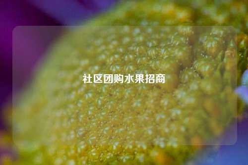 社区团购水果招商  第1张