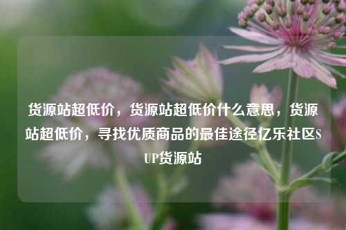 货源站超低价，货源站超低价什么意思	，货源站超低价，寻找优质商品的最佳途径亿乐社区SUP货源站  第1张