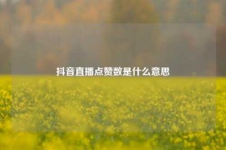 抖音直播点赞数是什么意思