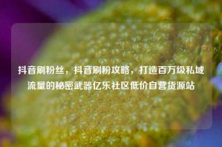 抖音刷粉丝，抖音刷粉攻略，打造百万级私域流量的秘密武器亿乐社区低价自营货源站