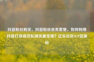 抖音粉丝购买，抖音粉丝业务套餐，如何利用抖音打造高效私域流量变现？亿乐社区SUP货源站