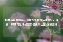 抖音涨流量网站，抖音涨流量网站有哪些，抖音，解锁流量增长新路径亿乐社区SUP货源站