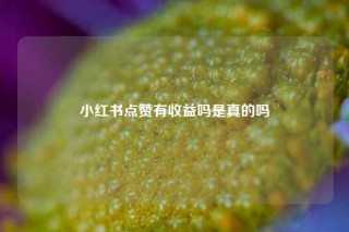 小红书点赞有收益吗是真的吗