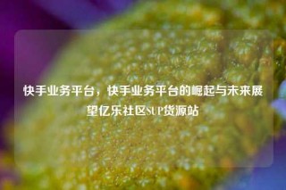 快手业务平台，快手业务平台的崛起与未来展望亿乐社区SUP货源站