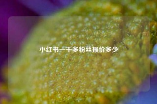 小红书一千多粉丝报价多少