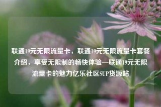 联通19元无限流量卡，联通19元无限流量卡套餐介绍，享受无限制的畅快体验—联通19元无限流量卡的魅力亿乐社区SUP货源站