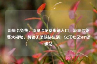 流量卡免费，流量卡免费申请入口，流量卡免费大揭秘，解锁无限畅快生活！亿乐社区SUP货源站