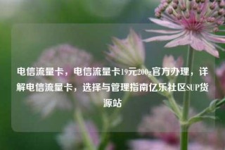 电信流量卡，电信流量卡19元200g官方办理，详解电信流量卡，选择与管理指南亿乐社区SUP货源站