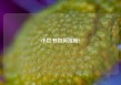 小红书如何涨粉?