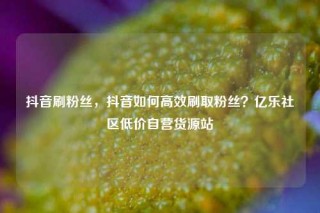 抖音刷粉丝，抖音如何高效刷取粉丝？亿乐社区低价自营货源站