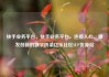 快手业务平台，快手业务平台，连接人心、激发创新的数字桥梁亿乐社区SUP货源站