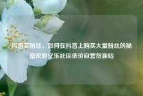 抖音买粉丝，如何在抖音上购买大量粉丝的秘密攻略亿乐社区低价自营货源站