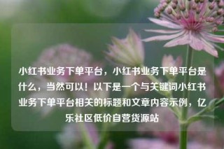 小红书业务下单平台，小红书业务下单平台是什么，当然可以！以下是一个与关键词小红书业务下单平台相关的标题和文章内容示例，亿乐社区低价自营货源站