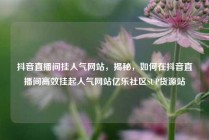 抖音直播间挂人气网站，揭秘，如何在抖音直播间高效挂起人气网站亿乐社区SUP货源站