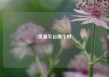 货源平台哪个好
