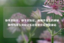 快手买粉丝，快手买粉丝，揭秘平台上的神秘操作与潜在风险亿乐社区低价自营货源站
