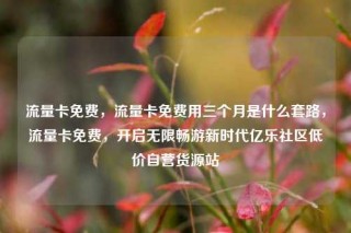 流量卡免费，流量卡免费用三个月是什么套路，流量卡免费，开启无限畅游新时代亿乐社区低价自营货源站