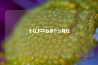 小红书平台靠什么赚钱