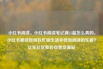 小红书阅读，小红书阅读笔记满15篇怎么弄的，小红书趣谈如何在忙碌生活中找到阅读的乐趣？亿乐社区低价自营货源站