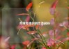哔哩哔哩的创作者简称