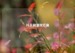 抖音刷播放后果