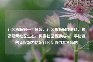 社区货源站一手货源，社区货源站超低价，构建繁荣社区生态，探索社区货源站与一手货源的无限潜力亿乐社区低价自营货源站
