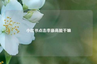 小红书点击率最高能干嘛