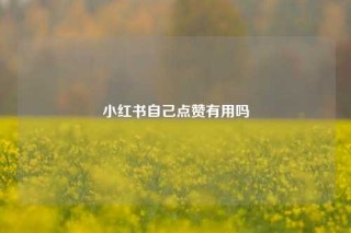 小红书自己点赞有用吗
