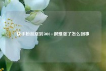 快手粉丝涨到5000+很难涨了怎么回事