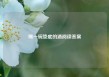 喝一碗垫底的酒阅读答案