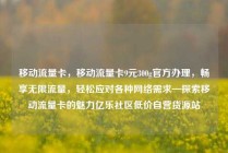 移动流量卡，移动流量卡9元300g官方办理，畅享无限流量，轻松应对各种网络需求—探索移动流量卡的魅力亿乐社区低价自营货源站
