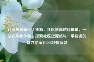 社区货源站一手货源，社区货源站超低价，一站式购物体验，探索社区货源站与一手货源的魅力亿乐社区SUP货源站